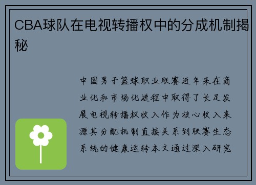 CBA球队在电视转播权中的分成机制揭秘